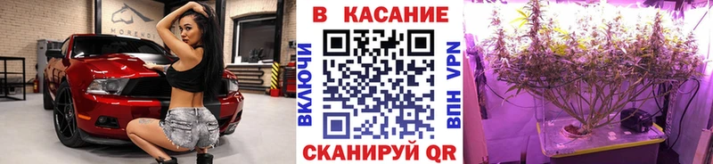 Наркотические вещества Выборг МАРИХУАНА  Меф  Alpha PVP  ГАШ 