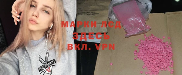 прущие грибы Беломорск