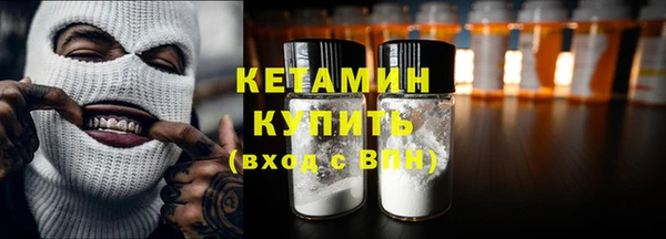прущие грибы Беломорск