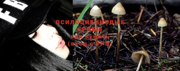прущие грибы Беломорск