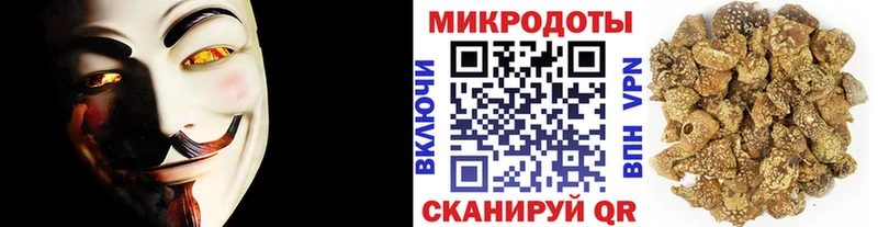 сколько стоит  Выборг  Псилоцибиновые грибы Psilocybine cubensis 